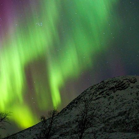 6 Person Holiday Home In Olderdalen ภายนอก รูปภาพ